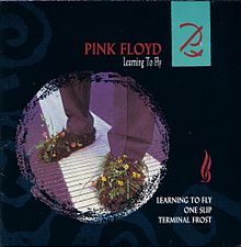 Pink Floyd - Learning To Fly