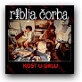 Translated Riblja Corba lyrics